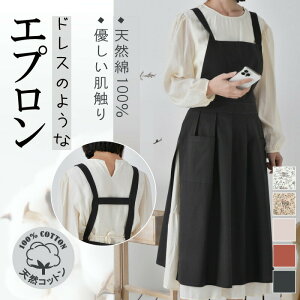 11/8 撅30Gv s[X O  Gv hX l Gv 傫TCY  100  k hXGv GvhX s[X 傫 JtF 