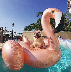 啂 V t~S t[g rbOTCY 190×190×130CM flamingo t~S [YS[h iCgv[ q f[g   Zu 傫TCY  UKIWA V 