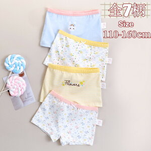 }\|Cg10{ S7×4Zbg 4g ̎q  LbY V[c u[t Rbg 95 {NT[V[c pc Ci[  ̎q   A_[EFA m