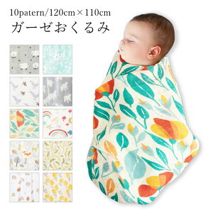  ~ uPbg Ԃ xr[ V K[[ 킢 oY oYj k Rbg 110cm QPbg {Q oY n ݃J[ |@ ȑf   Qp