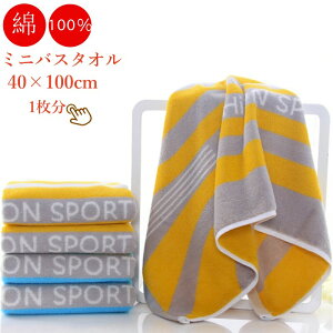 oX ^I 40×100cm 100 RpNgoX^I 1 40×100cm  rbOtFCX^I ~joX^I xr[ LbY v[ w ct wZ ^I Rbg100 V 킢 