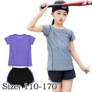 X|[cEFA LbY tVc X|[cEFA ZbgAbv LbY WjA 2_Zbg LbY X|[cpc z tVc  t n Vc X|[cEFA g[jO