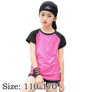 X|[cEFA LbY tVc LbY WjA  ̎q z tVc  LbY tVc Jbg\[ gbvX t W[W n Vc X|[cEFA g[jOEFA