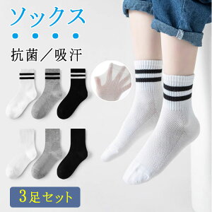 ő20 3Zbgq C  bV XN[\bNX LbY j̎q ̎q WjA V[g\bNX ʊwp w w z ʋC X|[c w