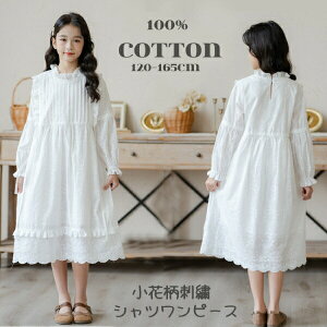 ԕh?@t݁@Vcs[X@Jbg[N[X [X@s[X@100Rbgȗnt@̎qqp}LV@tHpeBA[hqLbYWjA@X