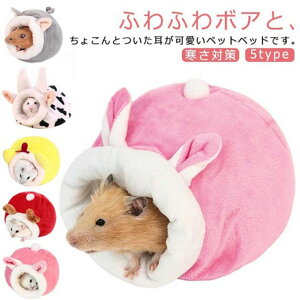 B ybgNbV   nX^[ ETMt g h nEX ^ybg ӂӂ ~t H~ \ Q Vя  ΍ ʐ^Be nX^[ y