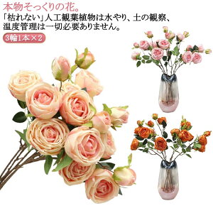 ԑ [Y tFCNt[  A 31{ ֑} 3 tFCN[Y CeA zCg 2{Zbg  AW {  VNt[ sN _[Nbh  