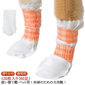 ̉h~ C tbgJo[ 60 LkSѕt _炩 hbOu[c pC ~ ی 120 ʋC Lp C y pC sDz ybg ĝ C Jo[ 