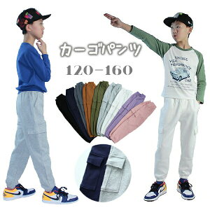 qY{ 85Ȑn tHp jp n qY{ J[Spc Opc OY{ ~^[ [Npc Y{ XLj[WK[ LbY ъԊwZwZshqj