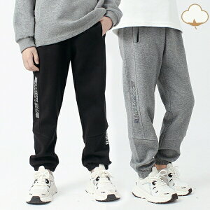 WK[pc@85Ȑn@Opc@Y{@XLj[WK[@LbY@Y{@pc@ъԊwZ@wZs@h@hh~@q@j̎q@WjAp@q@