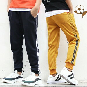 WK[pc@95Ȑn@Opc@Y{@XLj[WK[@LbY@Y{@pc@ъԊwZ@wZs@h@hh~@q@j̎qWjAp@jp q