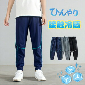 WK[pcЂ@⊴fށ@Lт鐶n@Opc@OY{@XLj[WK[@Y{@Xgb`@|Pbg@j̎q@WjAp@LbYq ǂ 