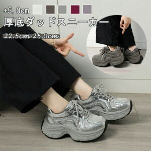 _bhXj[J[ Xj[J[ fB[X q[5cm bV C Xj[J[ JWAV[Y EH[LOV[Y ؍ JWA gAbv r IV _CGbgXj[J