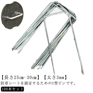 s lH Œp V[g U^ hV[g Zbg UsY ɑ3mm 30cm ەt Œs hV[g hV[gs Œ 100{ sDz s s Gh~V[g h V[