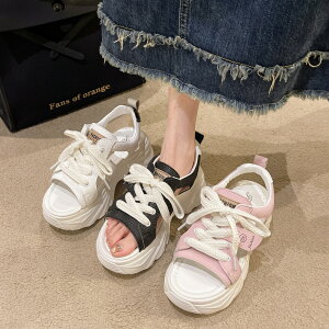 X|[cT_ fB[X X|T T_ T_ Xj[J[ T}[T_  V[Y EFbW\[  t JWA