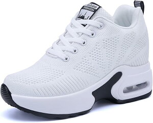 Xj[J[ fB[X Cq[Xj[J[ EH[LOV[Y r V[NbgV[Y y V[Y [XAbv 8cm q[Abv r ɂ gAbv