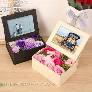 \[vt[ ʐ^ t[ tHgt[JXjaMtgv[ghV̓\[vt[BOXΌ̓Mtg o^C zCgf[ j  蕨 LO