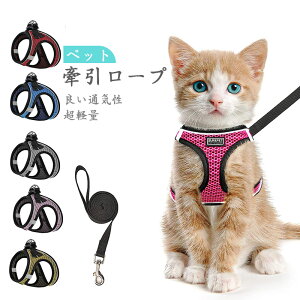 L Lp n[lX  L ˂ lR qL q ^ U o Ȃ xXg \tg y ʂ}WbNe[v