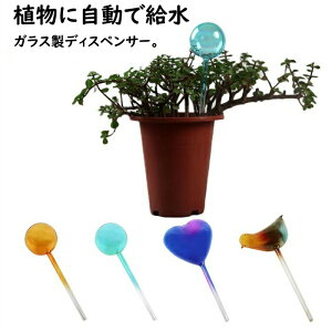  2Zbg   J[ KX     A ϗtA   U c[  {[ | A EH[^[ fBXyT[ 