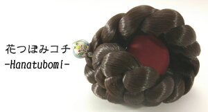 wA ߑ  l Cxg `SwA[␻R`No05 Ԃڂ݂񂴂R`cochi-s-05-syMtgzyyYz