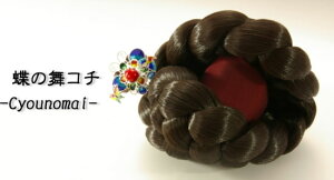 wA ߑ  l Cxg `SwA[␻R`No06 ̕񂴂R`cochi-s-06-syMtgzyyYz