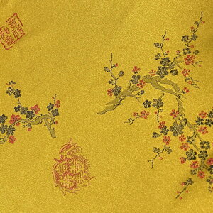 n 炵F hq S[h  GW  ~  ͗l  fG Te ؍ ؕ _`}`Sn 110cmE10cmP 炵kiji-23-sy؍nzy_zyLz