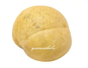 Z\EpKW   j   qE^   ؍ [i [pi ʔ j CF_ [ [i [pi ʔ j CF_ [ pagaji-1-sy