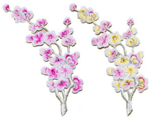 �h�J���b�y���E�~�h�J��wap-h-ha1-s�y�M�t�g�z�y���y�Y�z