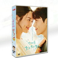 韓国ドラマ 韓国語 「海街チャチャチャ」 シン・ミナ/キム・ソンホ 10枚組 DVD ボックス TV+OST 全話日本…