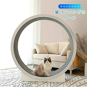 ybg [i[ LbgzC[ l LbgzC[ LbgzC[ L jOzC[ LbgEH[N Lbg [[ L̃gbh~ 񂵎 ܌ LbgGN