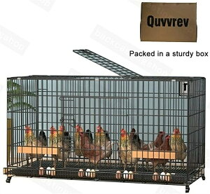 �{�p�P�[�W����P�[�W 3-15�{�̂��߂̃g���C�Ɨ��g���C�Ƌ׃P�[�W�t���̑傫�Ȍ{�����{�����Ƌ׃P�[�W �A�E�g�h�A�ƒ�p����