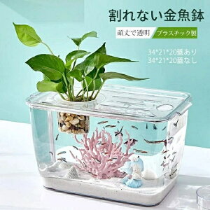  _J  vX`bN  ԕr ANAE {gANAE ou{E {geE ۃeE RPE SҌ