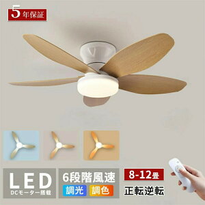 y2025Ǖi5Hb5Nۏ؁z V[Ot@Cg V[Ot@ led F  k RtƖ Hsv t]@\ 8 10 12 Ɩ V[OCg Ɩ 