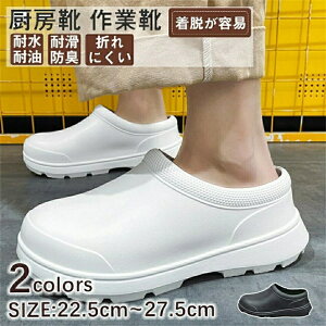 ~[C hC ϖC ƌC SC RbNV[Y Lb` T{ T_ ɂ fB[X HX y   ɂ ~[V[Y