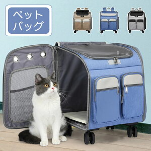 ybgL[ bN  ^ ^ L LX^[t L[  ybgL[obO J[g  ybgnEX ܂肽 3way bV  [h яoh~ }bg 