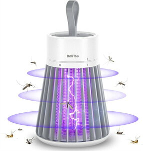 y2025NVr[Tz dE dC t˖ UVU ߒ dEd  ECg Ꮬ 쏜 @ xbh[ 䏊 Q x