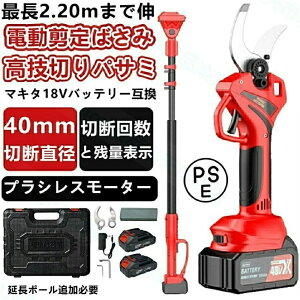 nT~ d }؂oT~ [d 2-IN-1 }؂΂ uVX[^[ R[hX ΂ d`F[\[ }؂  }؃nT~ 4000mAh`Edrt PSES