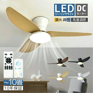 y10Nۏ؁zV[Ot@Cg V[Ot@ LED R 6 8 10 F k VƖ Ɩ  ؖڒ ؘg DC[^[ ʒ 邢 LED Vv Ɩ 