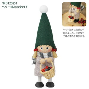 _P2{{N[|^ mfBJjbZ mfBbN tHXgV[Y 2025N ^T^ x[Ȅ݂̎q ETMj̎q `O  mfBJ NX}X 