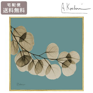 �_�}���\��P2�{�{�N�[�|���^ �A���o�[�g�E�N�[�c�B�[�� ���[�t �O���[�� 1 S�T�C�Y X RAY �L�����o�X �A�[�g �A�[�g�t���[�� X�� �����g�Q�� �ʐ^ XR-05804 �������� �A�[�g�p�l�� �G�� �A�� �t��