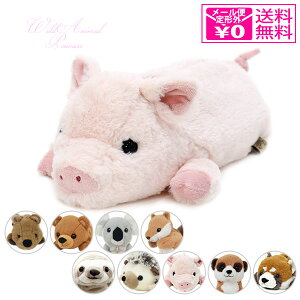 `O xXgGo[Wp ChAj}yP[X sbO 48076 ʂ u^ M y|[` yP[X 