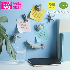 定形外送料無料 Qualy シーマグネット 5個セット 磁石 マグネット 冷蔵庫 亀 ヒトデ カニ タツノオトシゴ 貝 海の生き物