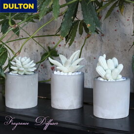 ＼P2倍＋クーポン／ ダルトン フレグランス ディフューザー リトル ジェム カクタス アロエ G875-959 サボテン 多肉 ルームフレグランス アロマ 芳香剤 玄関 部屋 フェイクグリーン