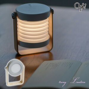 _X[p[Z[P11{{N[|^  2way ^ [d LED^Cg opt! OPTE-004 LED  Cg Ɩ g[`Cg ԐڏƖ