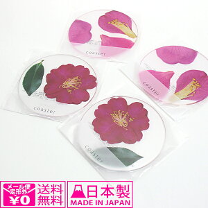 y[֑z toumei  R[X^[ 4Zbg R  TUJ coL Lb` ͂  ֗ IV Vv { 킢