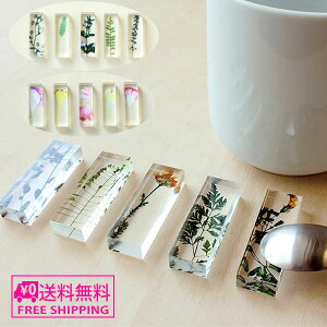 _}\P2{{N[|^ y[֑z toumei gEC  Hashioki u 5Zbg A/B/C/D/J[l[V