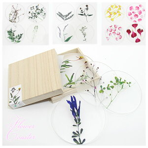 _P2{{N[|^ y`Oz toumei gEC  coaster R[X^[ A/B/C/D/J[l[V