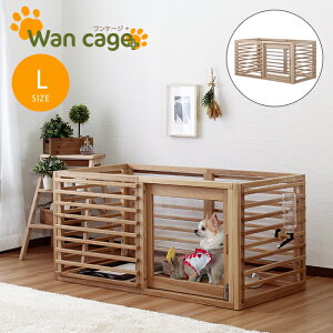 y!!zPi VR ybgT[N pQ[W Wan Cage+yP[WvXz LTCY