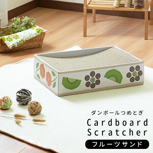 y!!zPi Lp܂Ƃ i{[ |bvV[Y t[cTh