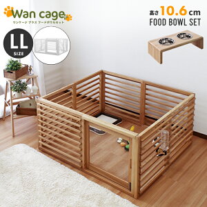 y!!zZbg VR ybgT[N p Wan Cage+yP[WvXz LLTCY pC X^ht[h{E 10.6cm